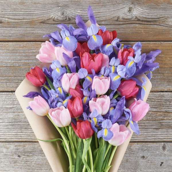 Tulips & Irises - Heartfelt - Long Stems